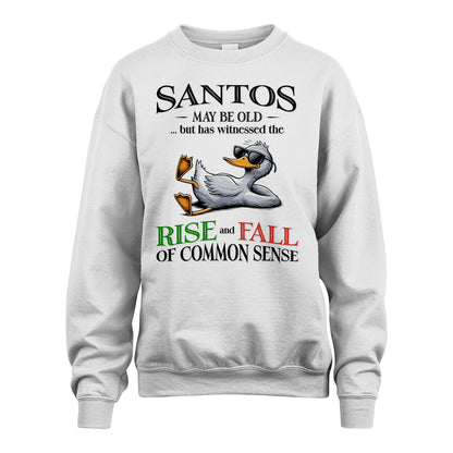 SANTOS 13K1-534 May Be Old But Has Witnessed The Rise and Fall of Common Sense