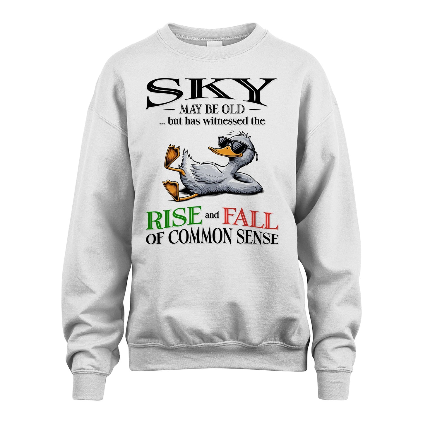 SKY 13K1-534 May Be Old But Has Witnessed The Rise and Fall of Common Sense