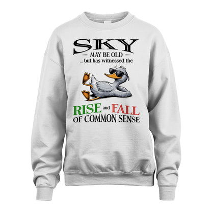 SKY 13K1-534 May Be Old But Has Witnessed The Rise and Fall of Common Sense
