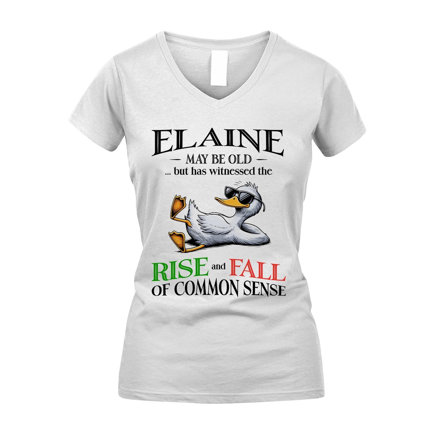 ELAINE 13K1-534 May Be Old But Has Witnessed The Rise and Fall of Common Sense