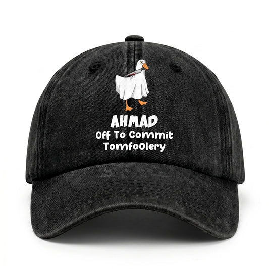 Off To Commit Tomfoolery Funny Goose Washed Cap AHMAD 13K1 C131PF