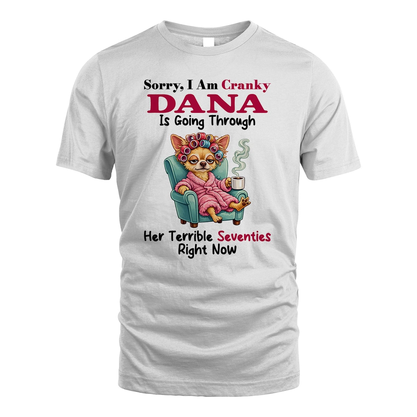 DANA 13K1-533 Sorry, I am Canky ... Is Going Through ...