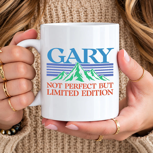 Not Perfect But Limited Eidition Retro Mountain Mug GARY 13K1 MG29