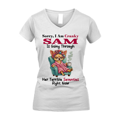 SAM 13K1-533 Sorry, I am Canky ... Is Going Through ...