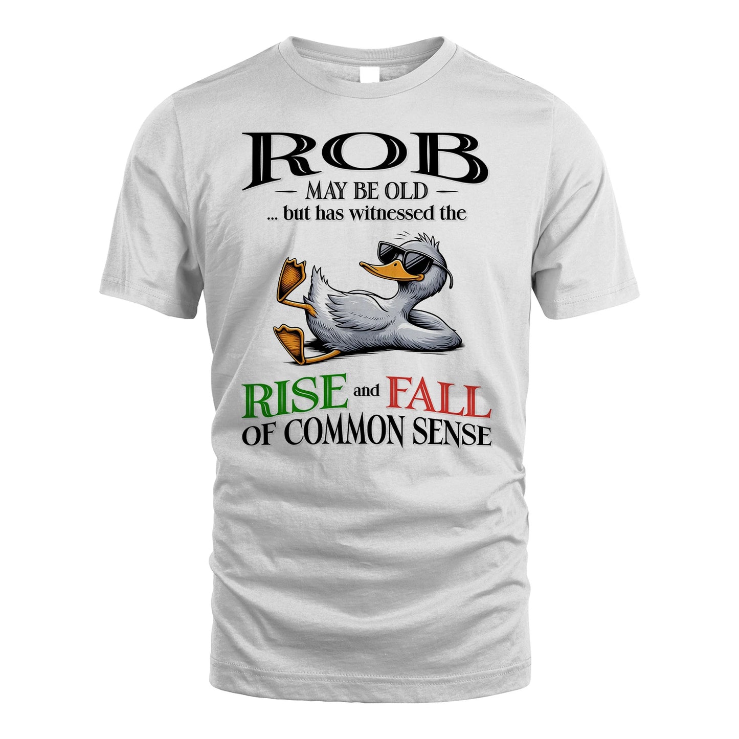 ROB 13K1-534 May Be Old But Has Witnessed The Rise and Fall of Common Sense