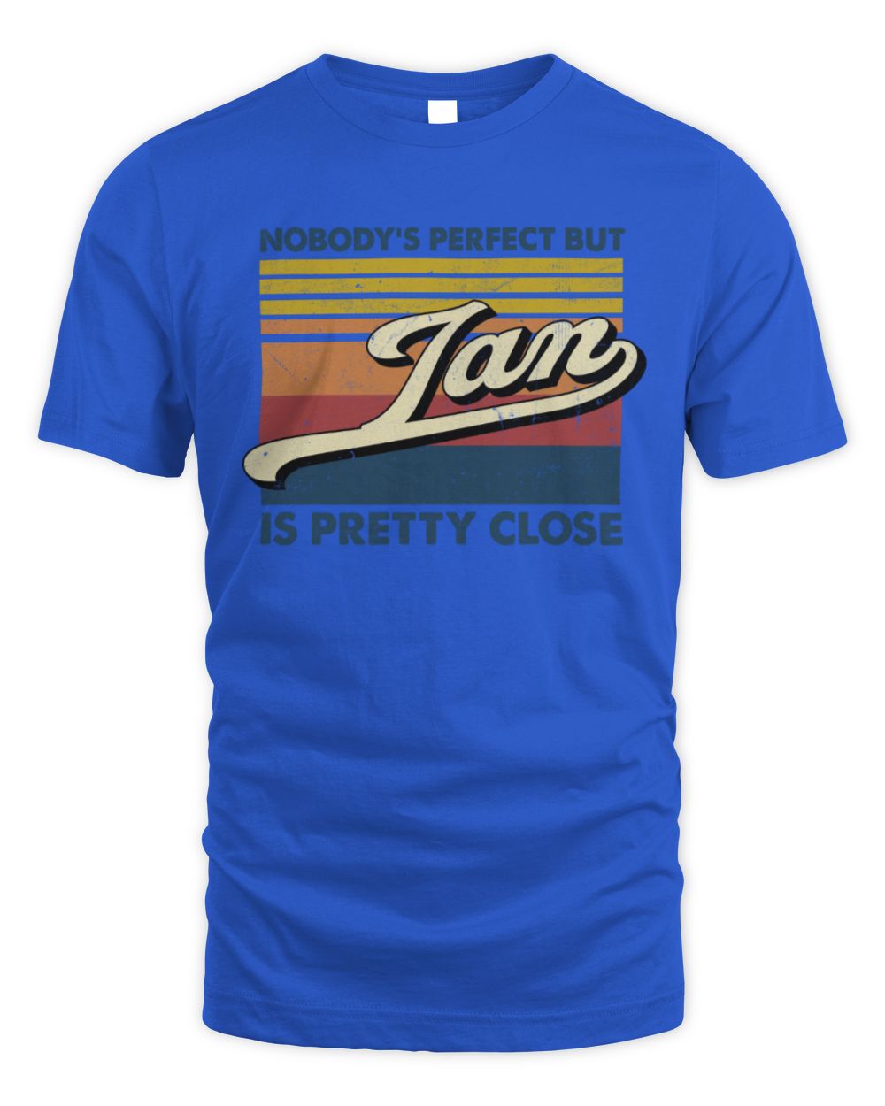 Nobody's Perfect But Your Name Is Pretty Close Retro Shirt IAN M1-65 / Unisex Standard T-Shirt / royal