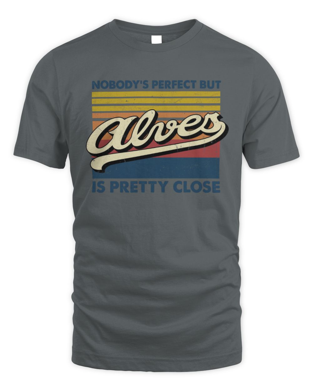 Nobody's Perfect But Your Name Is Pretty Close Retro Shirt ALVES M1-65 / Unisex Standard T-Shirt / charcoal