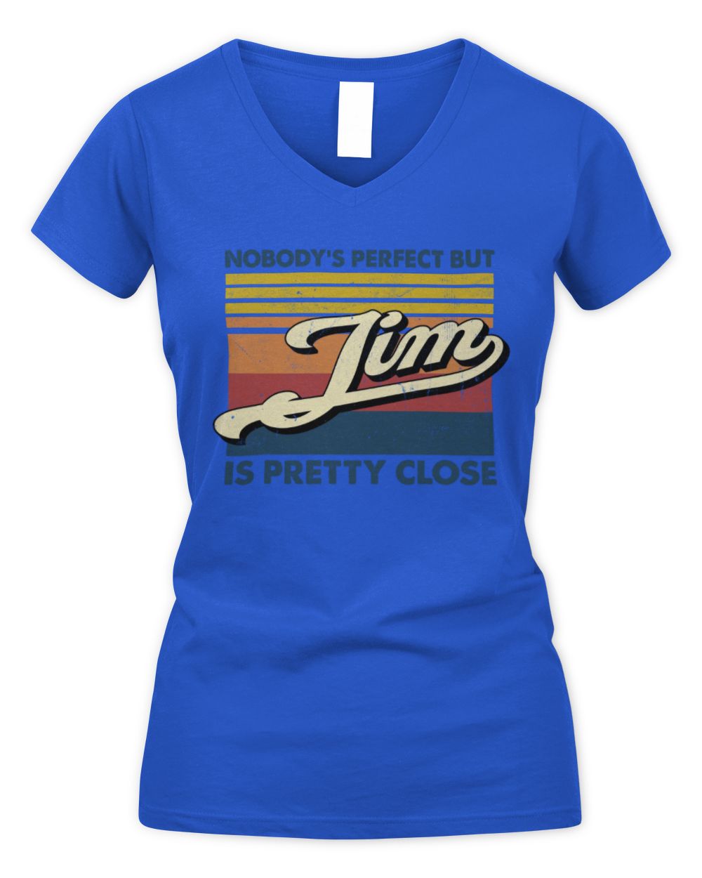 Nobody's Perfect But Your Name Is Pretty Close Retro Shirt JIM M1-65 / Women's V-Neck T-Shirt / royal